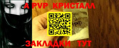 шишки Обь