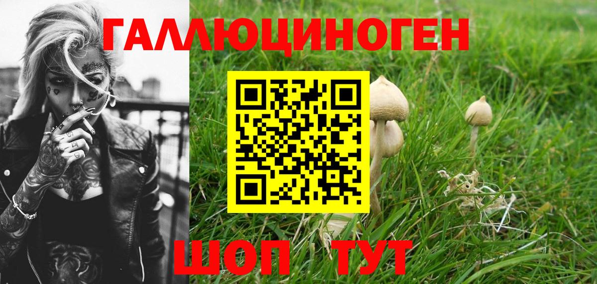 Сергиев Посад  Галлюциногенные грибы ЛСД  Вход с VPN 